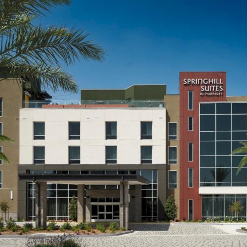 A modern hotel building with white and tan facades, glass entrance, palm trees, and a bright blue sky, labeled SpringHill Suites.
