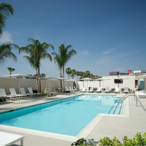 A sunny rooftop pool area with turquoise water, white lounge chairs, palm trees, and clear blue sky for a resort vibe.